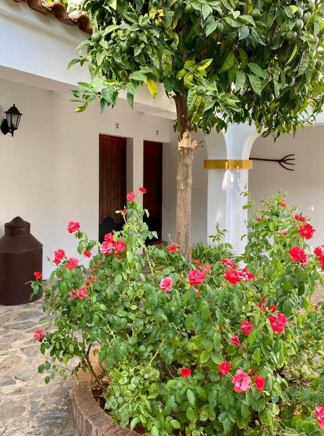 Ferienwohnung El Molino De La Quinta Constantina Exterior foto