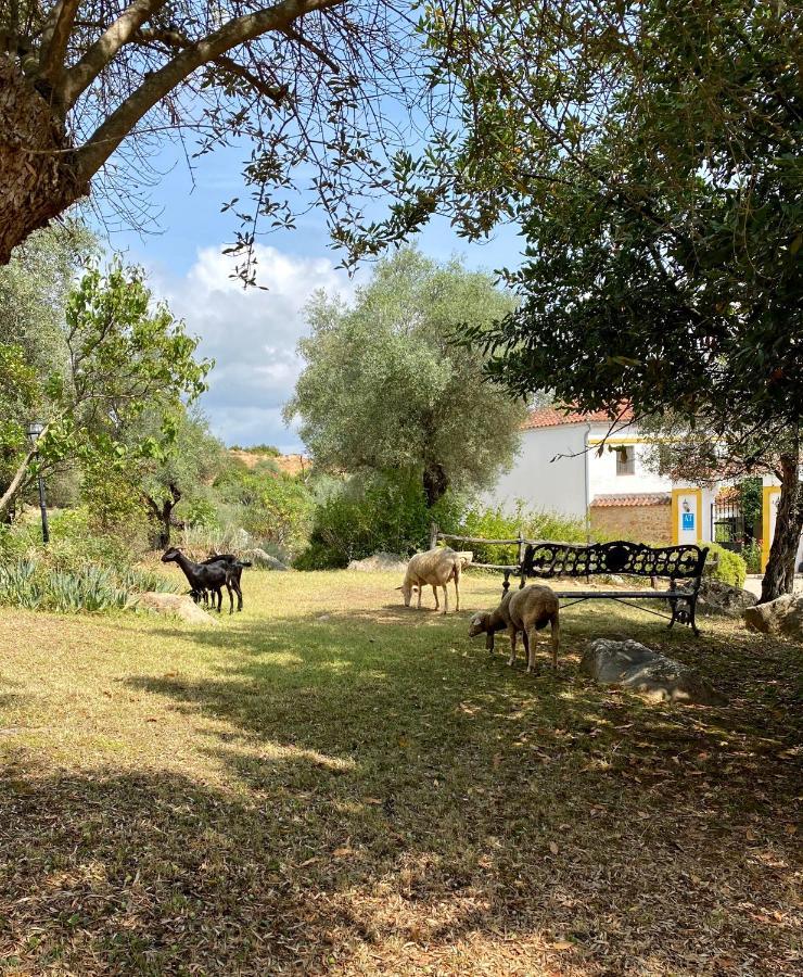 Ferienwohnung El Molino De La Quinta Constantina Exterior foto